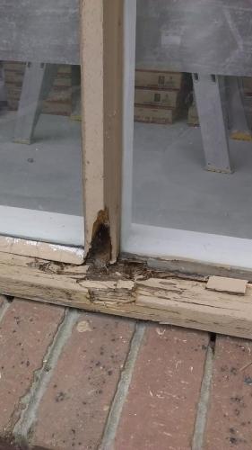 Window wood rot 