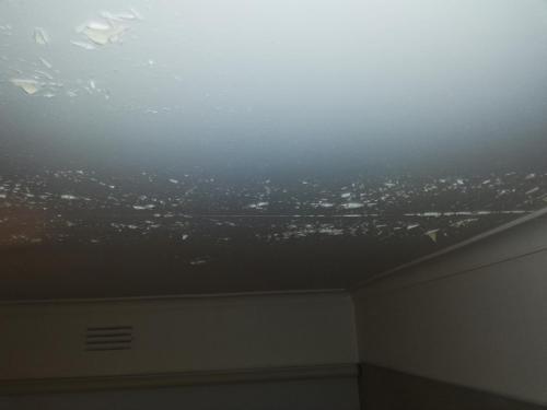 Flaking Bathroom ceiling paint Dingley