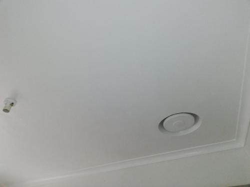 Repaired and repainted ceiling in bathroom Dingley